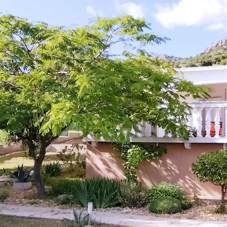 The Garden Of Elais Villa Šibenik Dış mekan fotoğraf