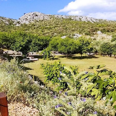 The Garden Of Elais Villa Šibenik Dış mekan fotoğraf