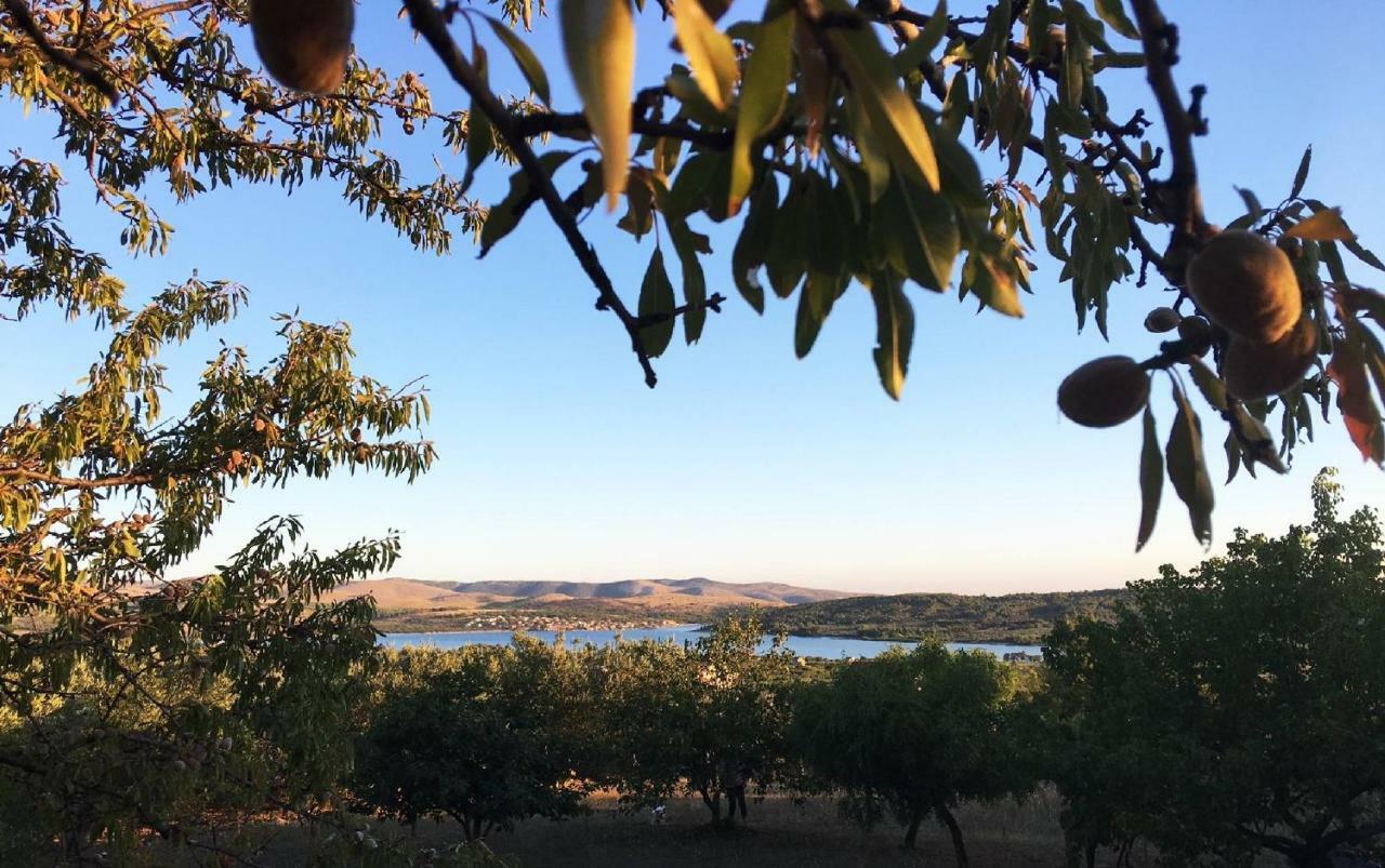 The Garden Of Elais Villa Šibenik Dış mekan fotoğraf